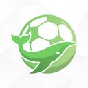 鲸鱼体育直播app正版